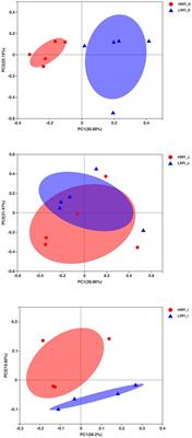 Small Intestine Microbiome and Metabolome of High and Low Residual Feed Intake Angus Heifers